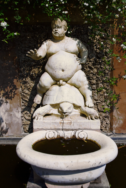 Man on a Turtle